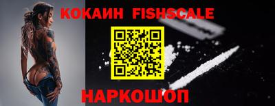 гашик Кингисепп