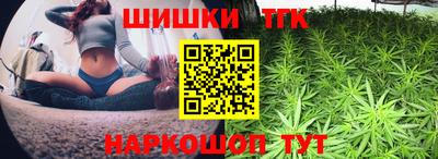 гашик Кингисепп
