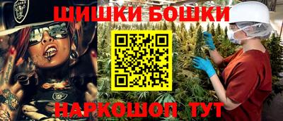 гашик Кингисепп