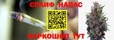 скорость Кинель