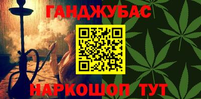 гашик Кингисепп