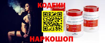 гашик Кингисепп