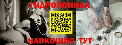 гашик Кингисепп
