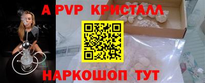 гашик Кингисепп
