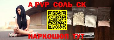 гашик Кингисепп