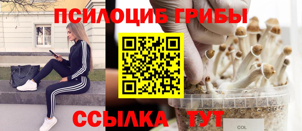 Галлюциногенные грибы Psilocybine cubensis Крымск