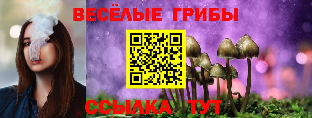 Псилоцибиновые грибы Psilocybine cubensis  Вход с VPN  Крымск  Псилоцибиновые грибы прущие грибы 